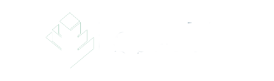 Auto Mega Option Forex Trading Provider